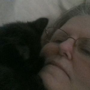 Meet your Posher, Donna